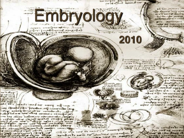 Embryology