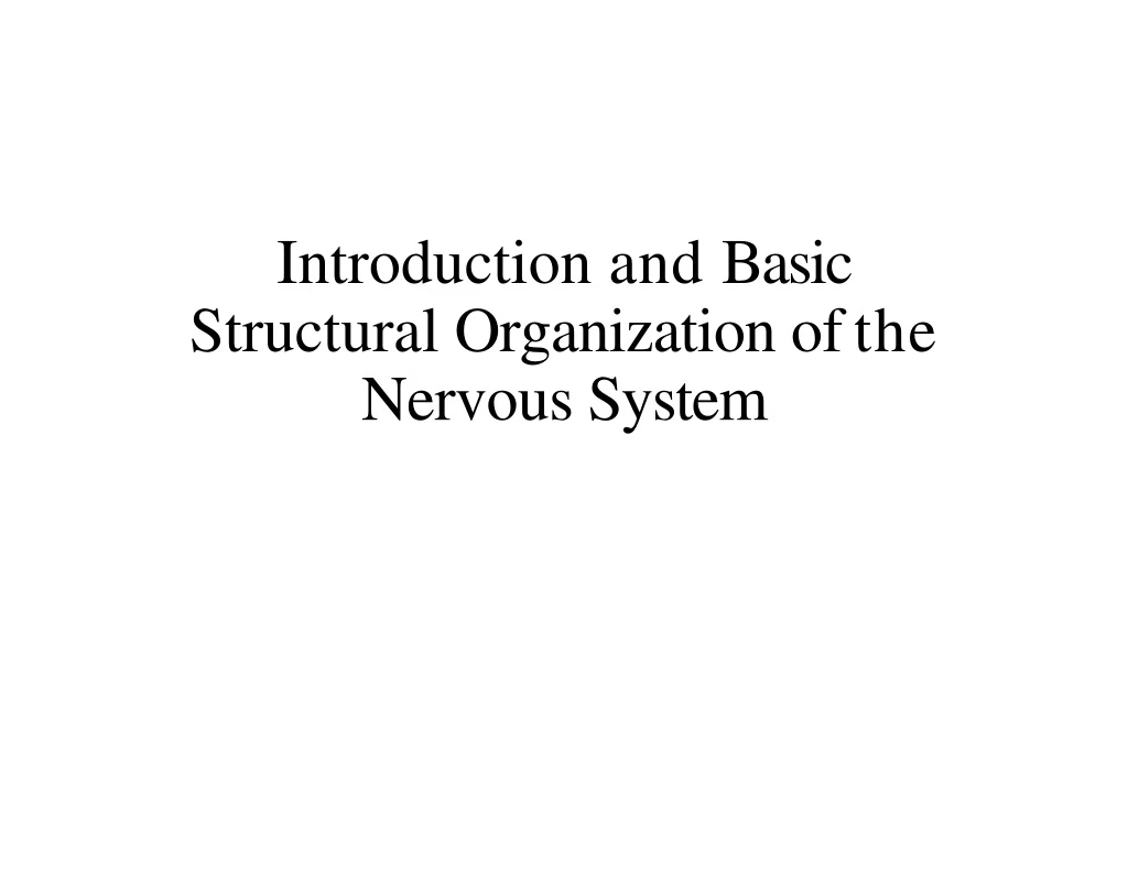introduction and basic structural organization of the nervous system
