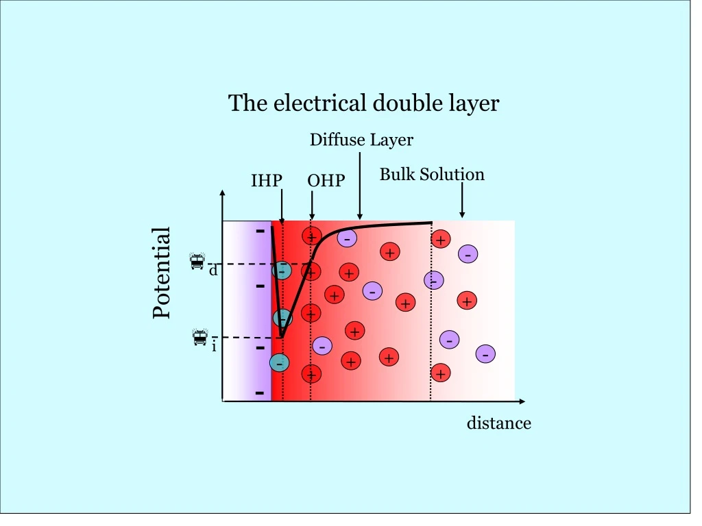 the electrical double layer