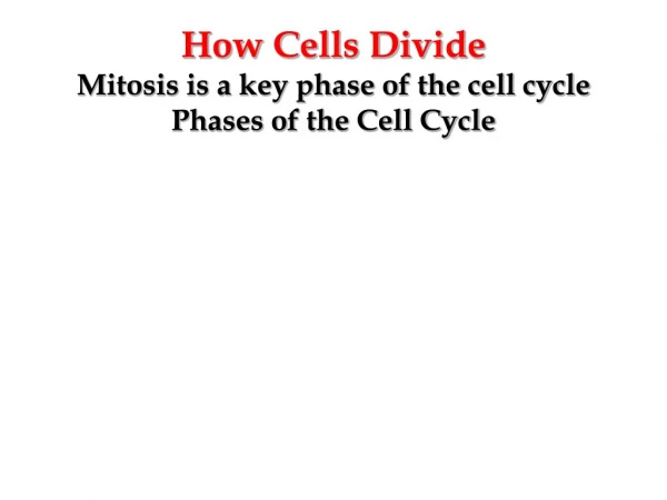 How Cells Divide Mitosis is a key phase of the cell cycle Phases of the Cell Cycle