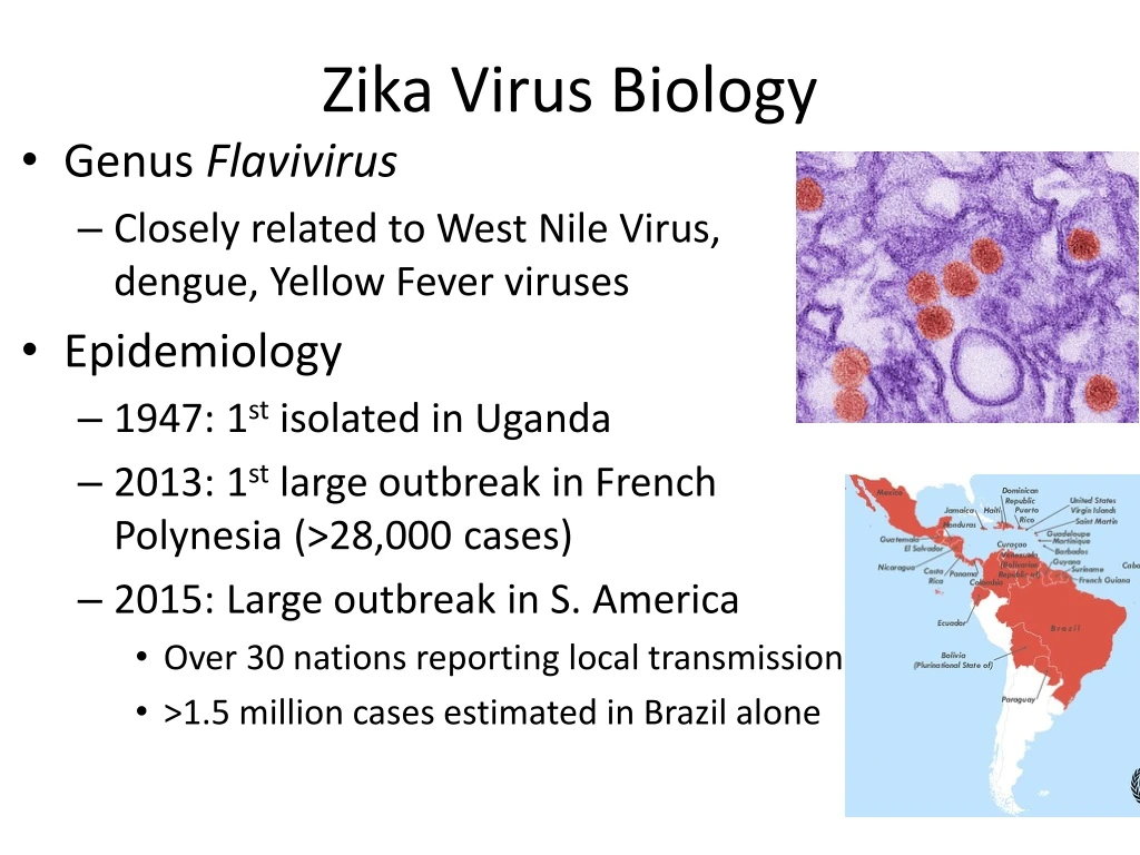 zika virus biology