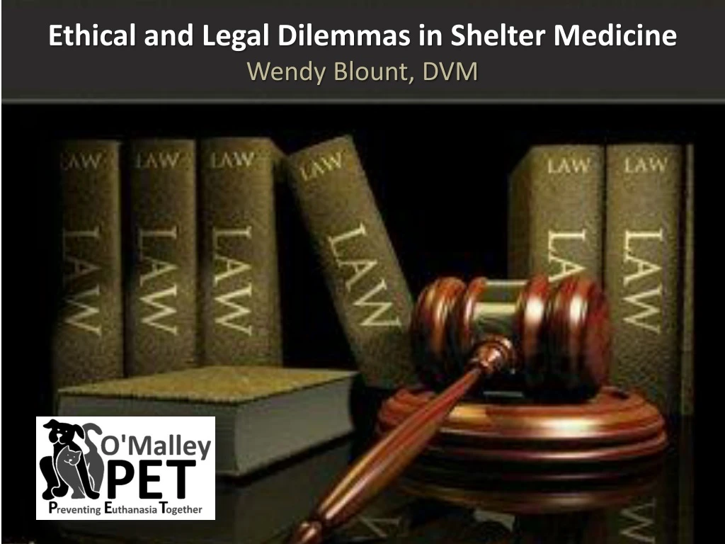 ethical and legal dilemmas in shelter medicine wendy blount dvm