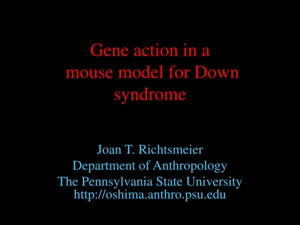 Gene action in a mouse model for Down syndrome