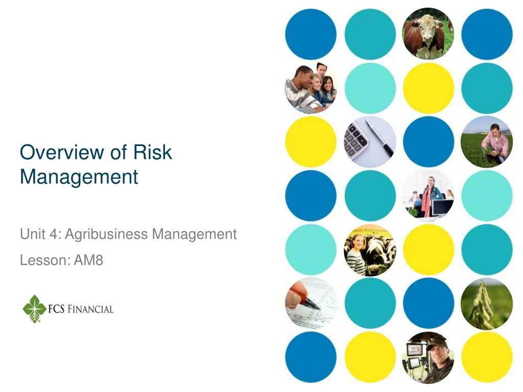 overview of risk management