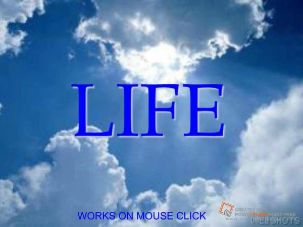 Life Is