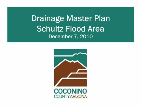 Drainage Master Plan Schultz Flood Area December 7, 2010