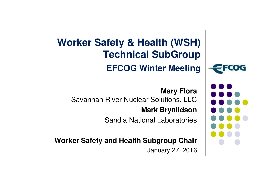 worker safety health wsh technical subgroup efcog winter meeting