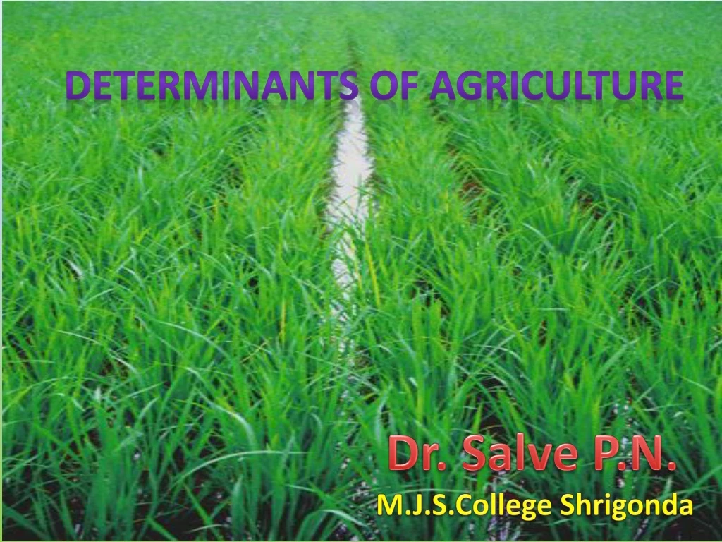 determinants of agriculture