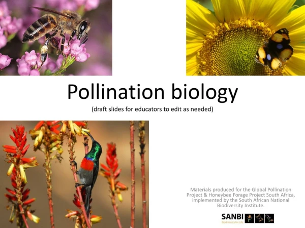 Pollination biology (draft slides for educators to edit as needed)