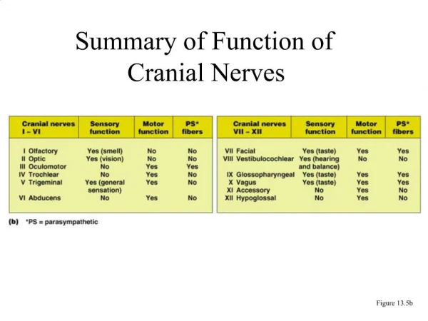 Summary of Function of Cranial Nerves