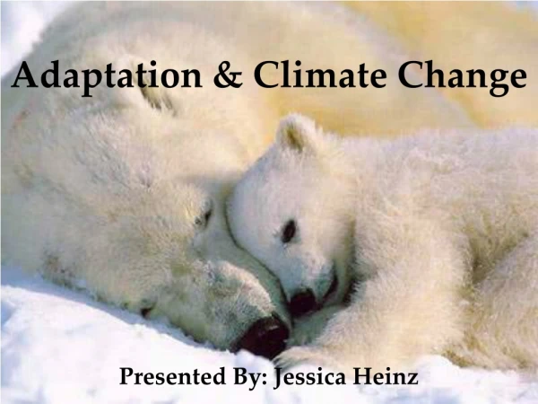 Adaptation &amp; Climate Change