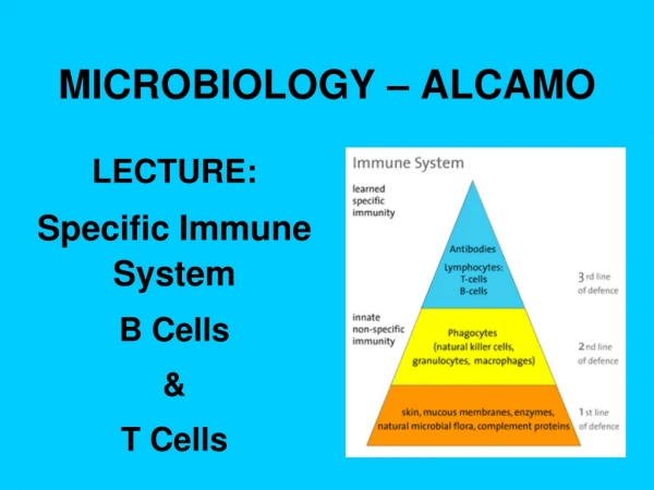 MICROBIOLOGY – ALCAMO