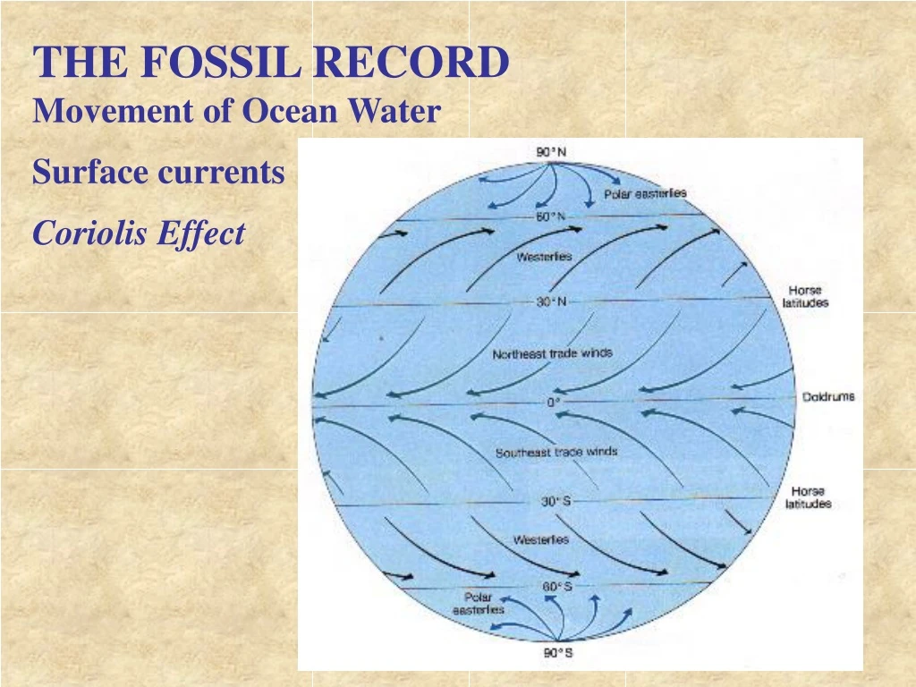 the fossil record movement of ocean water surface