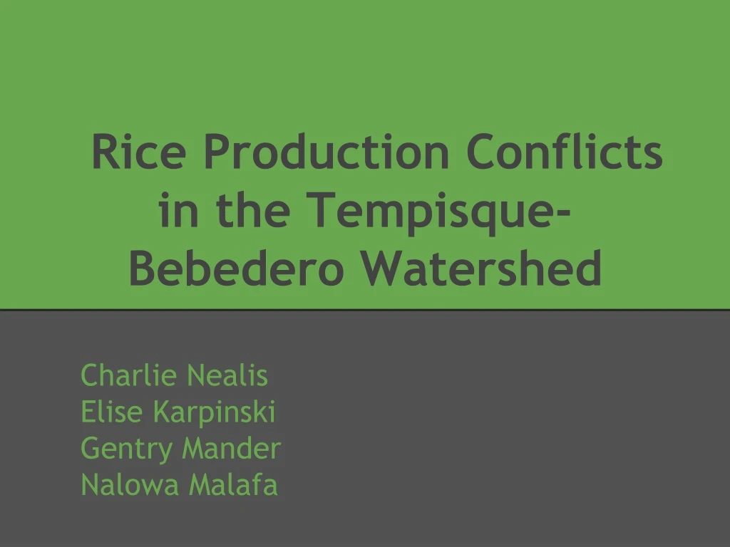 rice production conflicts in the tempisque bebedero watershed