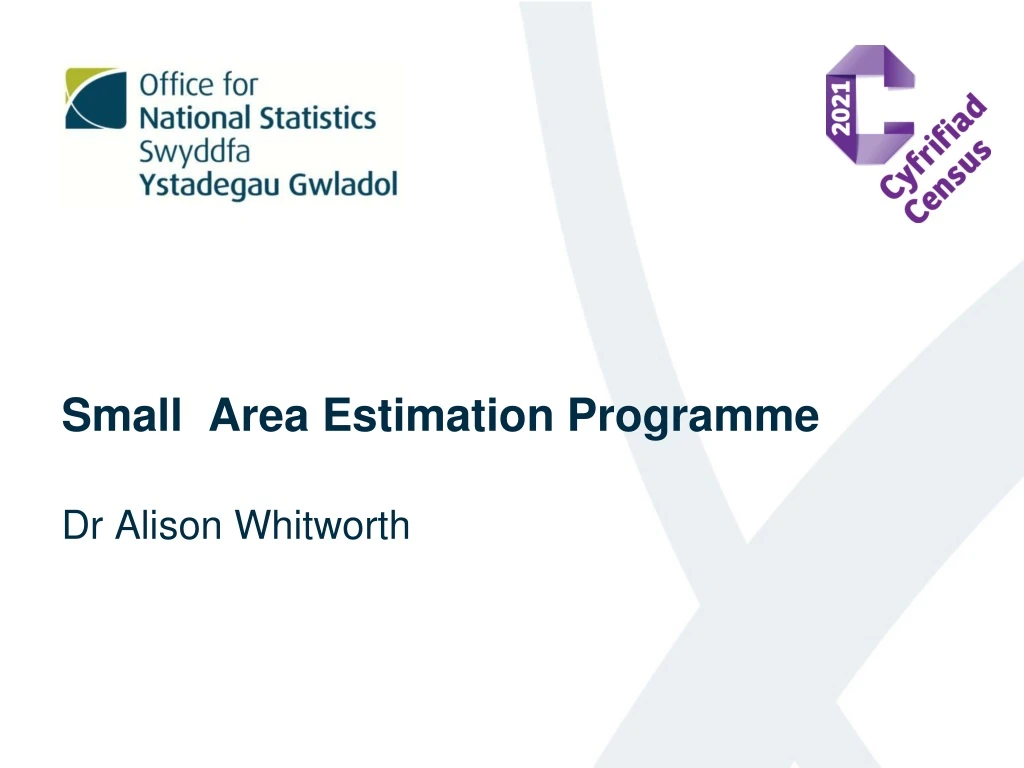 small area estimation programme
