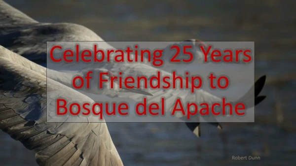 Celebrating 25 Years of Friendship to Bosque del Apache