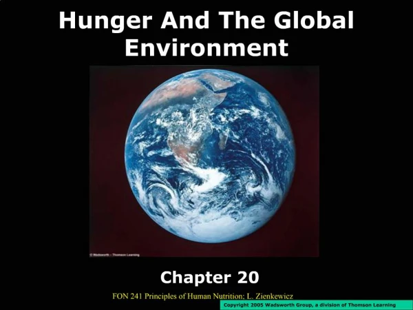Hunger And The Global Environment
