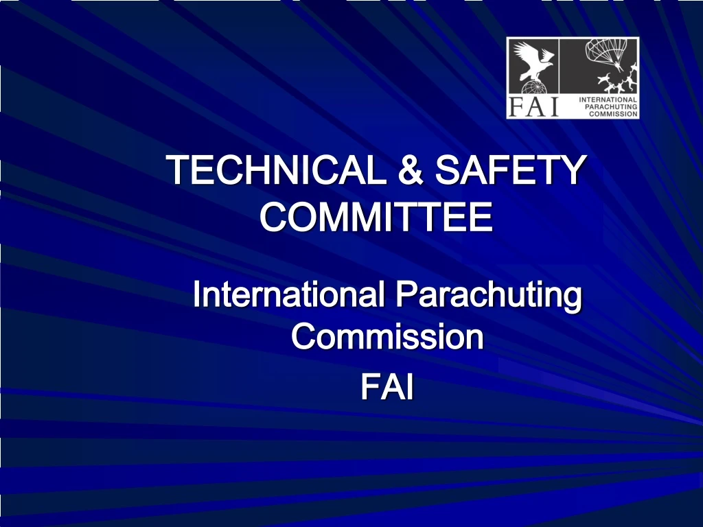 technical safety committee