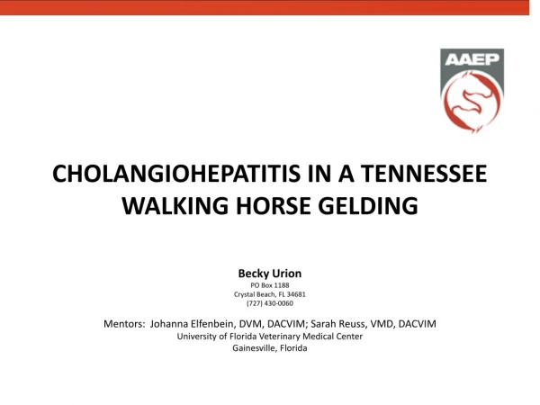 CHOLANGIOHEPATITIS IN A TENNESSEE WALKING HORSE GELDING