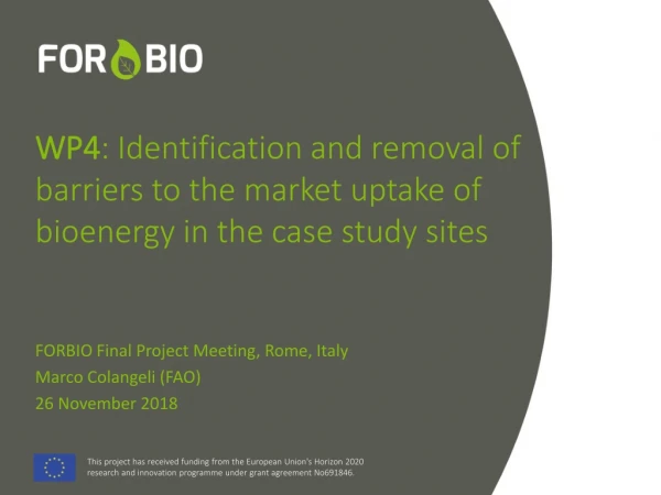 FORBIO Final Project Meeting, Rome, Italy Marco Colangeli (FAO) 26 November 2018