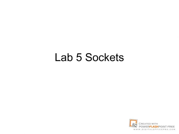 Lab 5 Sockets