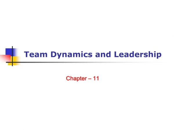 Team Dynamics and Leadership