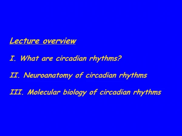 Lecture overview I. What are circadian rhythms II. Neuroanatomy of circadian rhythms III. Molecular biology of circad