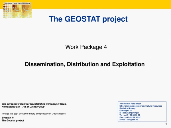 The GEOSTAT project