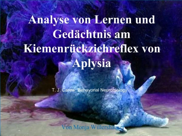 Analyse von Lernen und Ged chtnis am Kiemenr ckziehreflex von Aplysia