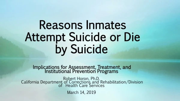 Reasons Inmates Attempt Suicide or Die by Suicide