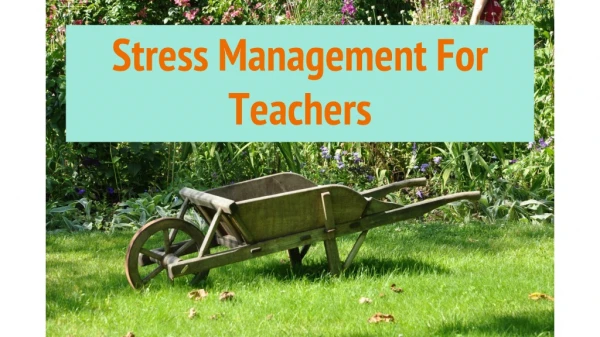 Stress Management For Teachers