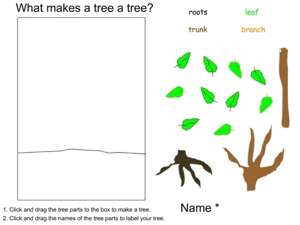 What makes a tree a tree