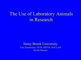 PPT - Common Laboratory Animals-Experimental Pharmacology PowerPoint ...