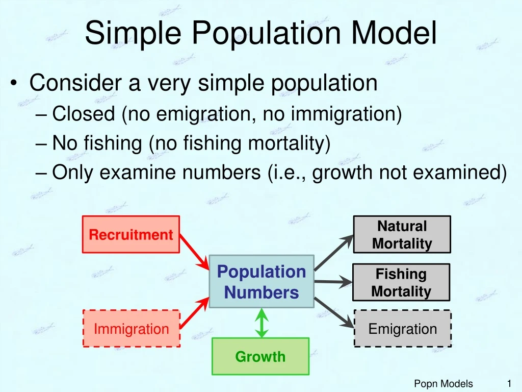 simple population model