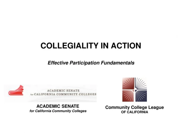 COLLEGIALITY IN ACTION Effective Participation Fundamentals