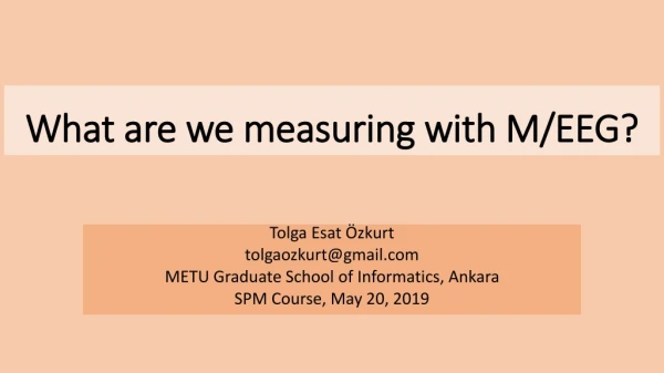 What are we measuring with M/EEG?