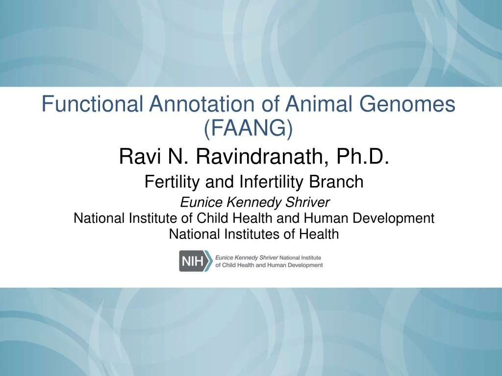 functional annotation of animal genomes faang