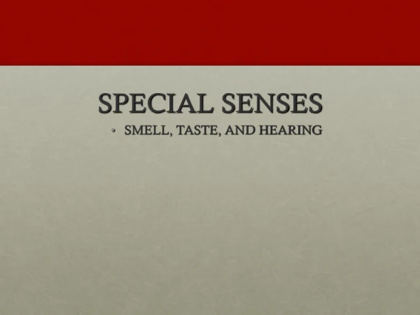 SPECIAL SENSES SMELL, TASTE, AND HEARING