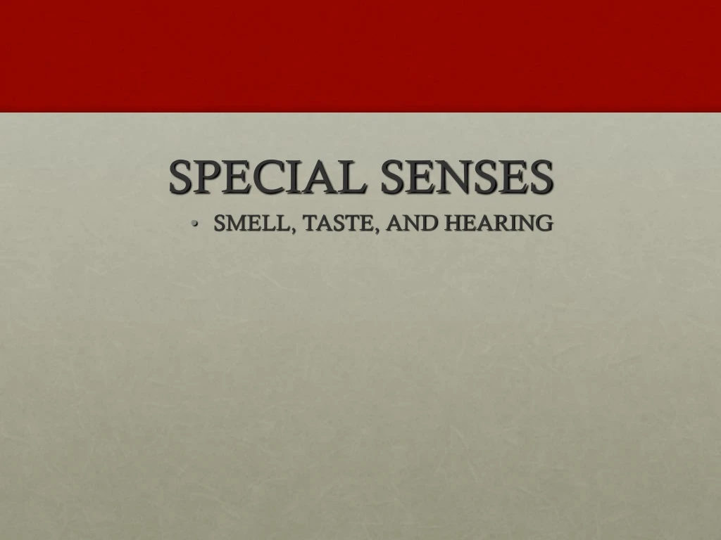 special senses smell taste and hearing