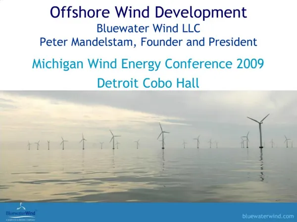 Offshore Wind Development Bluewater Wind LLC Peter Mandelstam, Founder and President