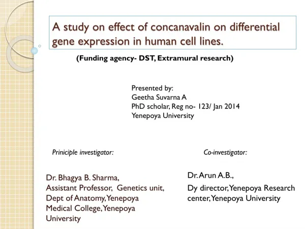 A study on effect of concanavalin on differential gene expression in human cell lines.