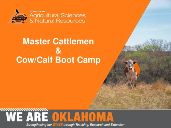 Master Cattlemen &amp; Cow/Calf Boot Camp