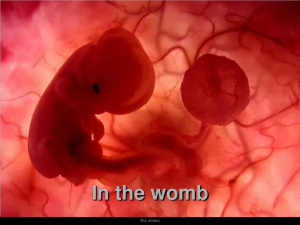 In the womb
