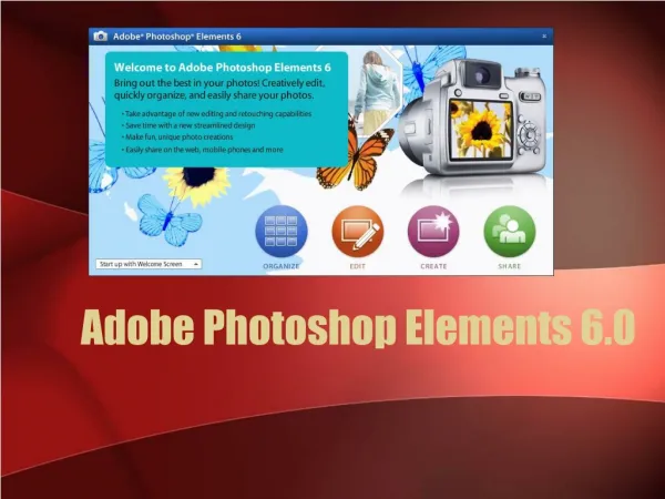 Adobe Photoshop Elements 6.0