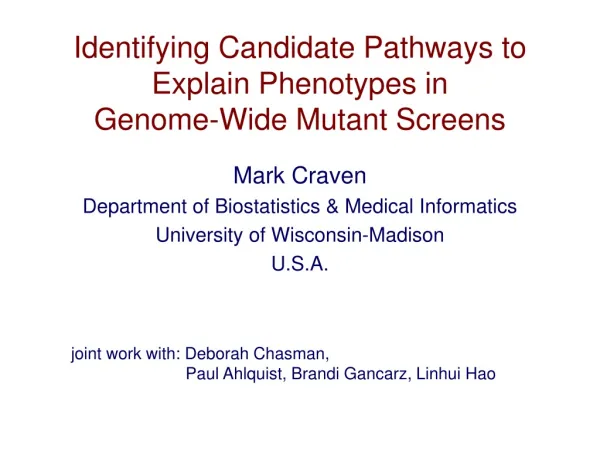 Identifying Candidate Pathways to Explain Phenotypes in Genome-Wide Mutant Screens