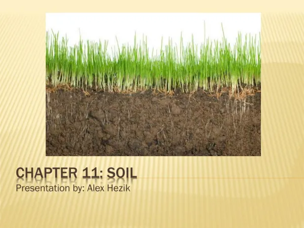 Chapter 11: Soil