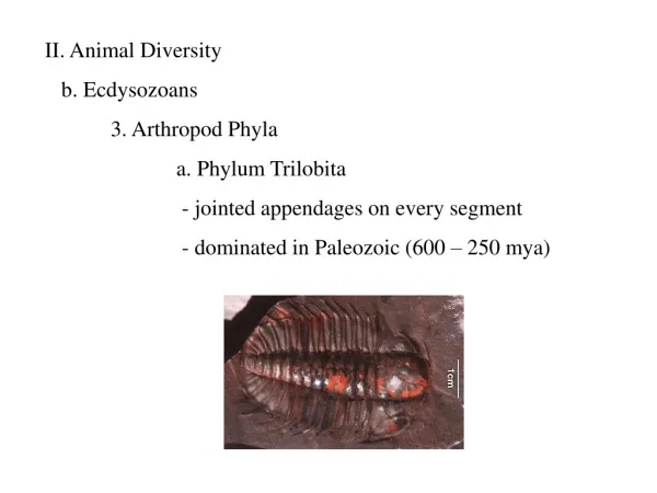 II. Animal Diversity b. Ecdysozoans 	3. Arthropod Phyla 		a. Phylum Trilobita