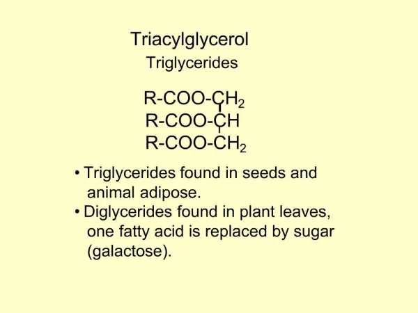 Triacylglycerol Triglycerides