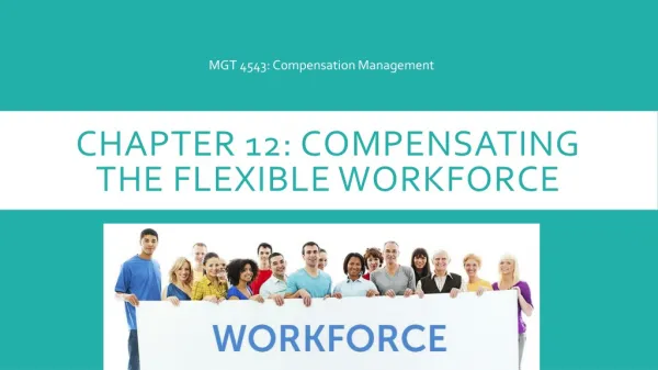 Chapter 12: Compensating the flexible workforce