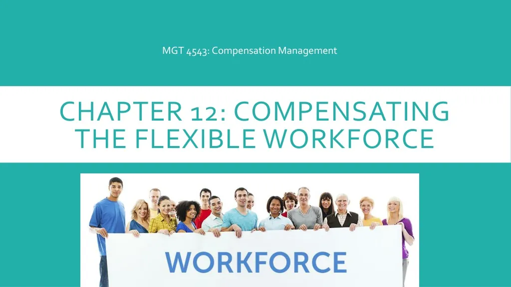 chapter 12 compensating the flexible workforce
